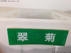 「翠菊種子」最新翠菊種子_價格_圖片_種植技術(shù)